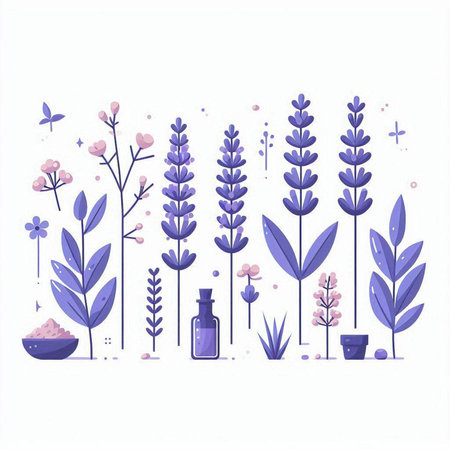 Lavender flowers and plants. Vector illustration in flat style.のイラスト素材
