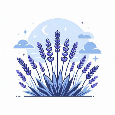 Lavender flowers in the night sky. Hand drawn vector illustration.のイラスト素材