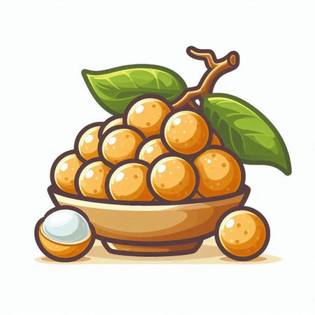 Longan fruit in a bowl isolated on white background. Vector illustration.のイラスト素材