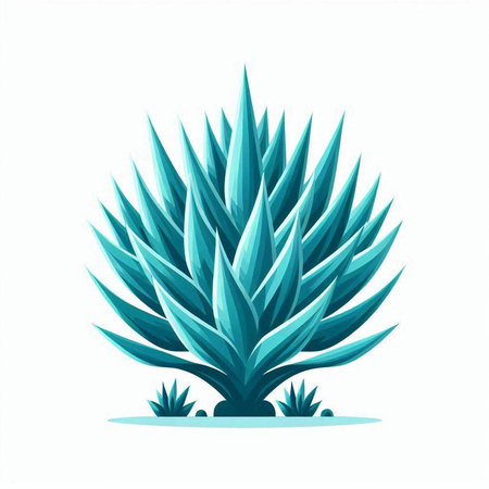 Blue succulent plant isolated on a white background. Vector illustration.のイラスト素材