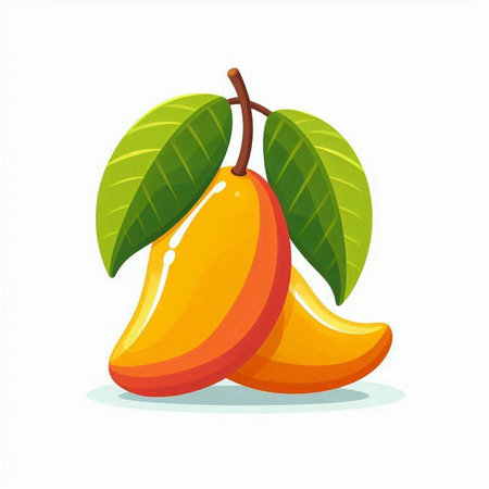Mango fruit isolated on white background. Vector illustration in flat style.のイラスト素材