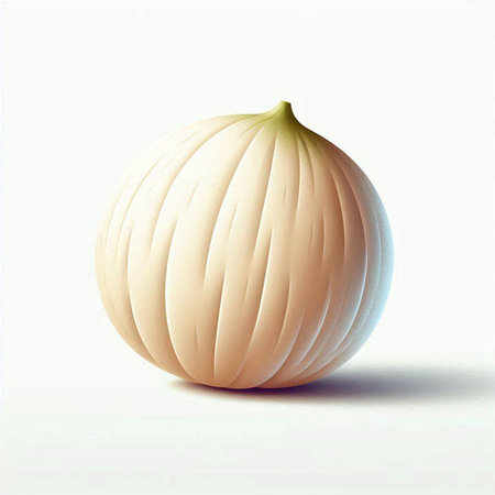 White onion on a white background. 3d illustration, 3d renderのイラスト素材