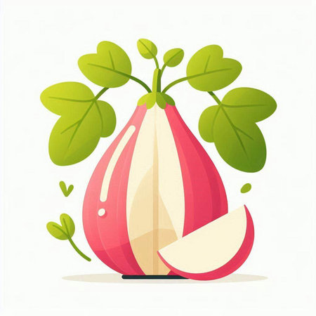 Illustration of a fresh red onion with green leaves on a white backgroundのイラスト素材