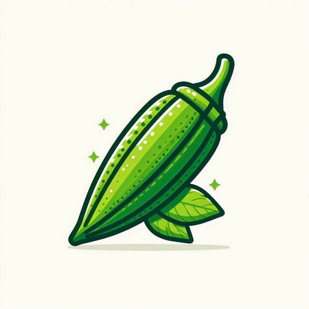 Illustration of okra on a white background. Vector illustration.のイラスト素材