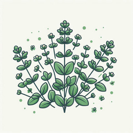 Bunch of thyme on a light background. Vector illustration.のイラスト素材
