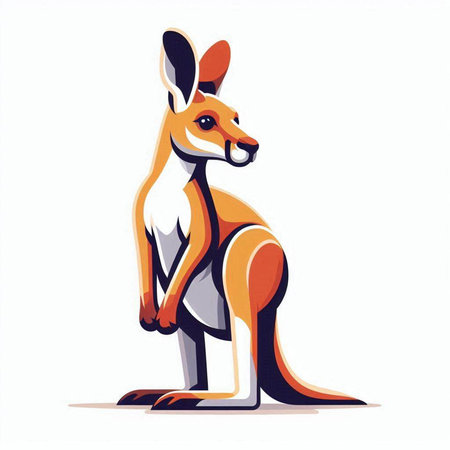 Kangaroo vector illustration. Isolated kangaroo on white background.のイラスト素材