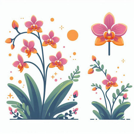 Orchid flowers set. Floral design elements. Vector illustration.のイラスト素材