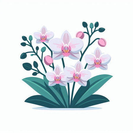 Beautiful pink orchid flowers isolated on white background. Vector illustration.のイラスト素材