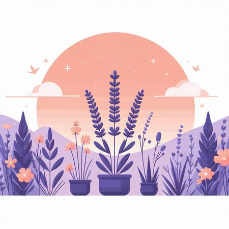 Vector illustration of lavender flowers in a pot on the background of the sunset.のイラスト素材