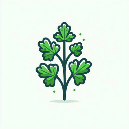 Parsley icon. Vector illustration. Parsley vector icon.のイラスト素材