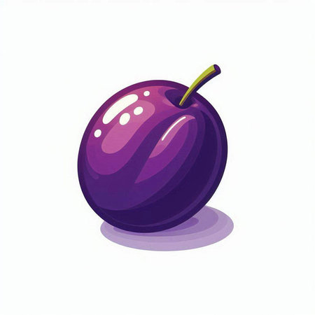 Plum vector illustration isolated on white background. Vector illustration of plum.のイラスト素材
