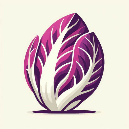 Purple chinese cabbage on a light background. Vector illustration.のイラスト素材