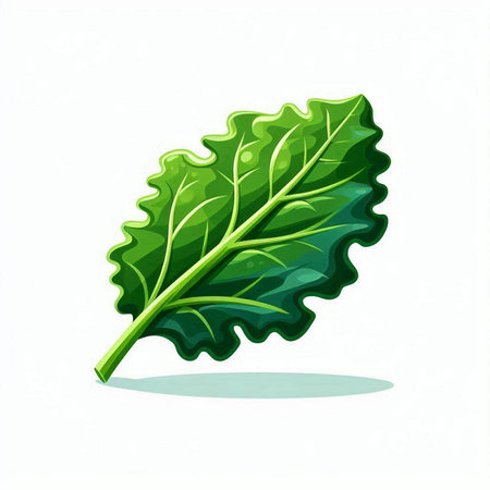 Illustration of a fresh green lettuce leaf isolated on a white backgroundのイラスト素材