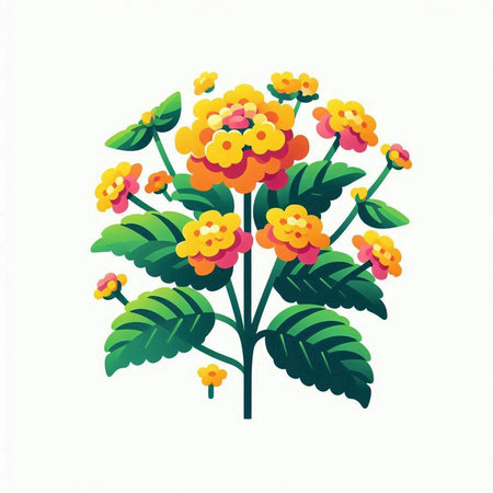 Lantana flower isolated on white background. Flat vector illustration.のイラスト素材