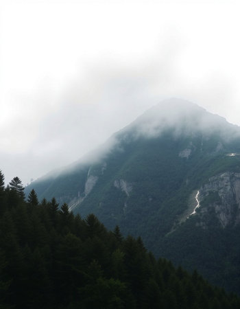 Foggy mountain landscape in the Alps, Austria, Europe.の写真素材