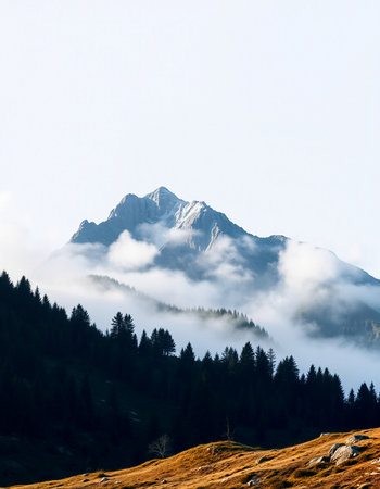 Beautiful mountain landscape with fog in the italian alps.の写真素材