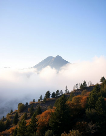 Mt.Fuji in autumn, Yamanashi, Japanの写真素材