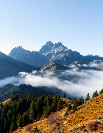 Foggy mountain landscape in autumnの写真素材
