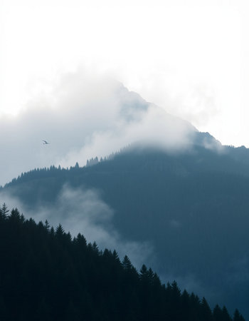 Silhouette of a bird flying over a mountain ridge in the cloudsの写真素材