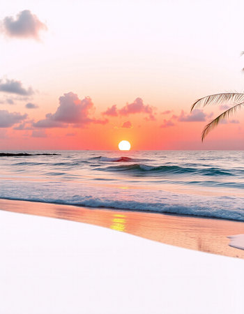 Beautiful tropical beach and sea with coconut palm tree at sunset timeの写真素材