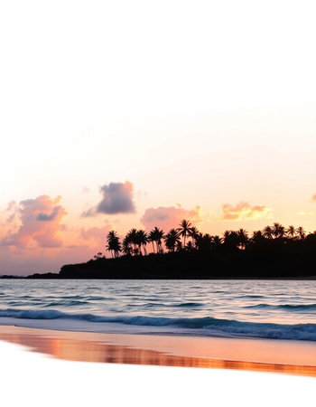 Tropical beach with palm trees at sunset, Sri Lanka.の写真素材