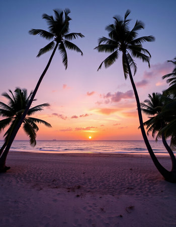 Beautiful sunset on the beach with coconut palm trees in the foregroundの写真素材