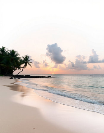Tropical beach with palm trees at sunset, Sri Lanka.の写真素材