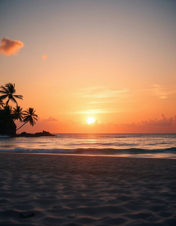 Beautiful sunset on the beach in the tropics. Toned.の写真素材