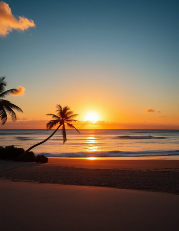 Sunset on the beach with palm trees. Beautiful tropical landscape.の写真素材