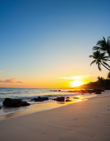 Beautiful sunset on the tropical beach and sea with coconut palm tree - Holiday Vacation conceptの写真素材