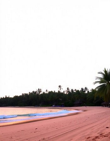tropical beach with coconut palm trees and sand at sunset timeの写真素材