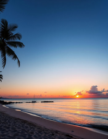 Beautiful tropical sunset on the beach with coconut palm tree silhouettesの写真素材