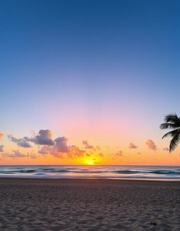 Beautiful tropical beach and sea with coconut palm tree at sunset time - Holiday Vacation conceptの写真素材