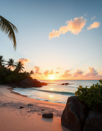 Tropical beach with palm trees at sunset, Seychellesの写真素材