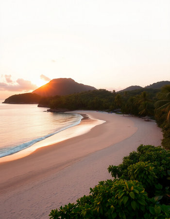 Beautiful sunset on the beach with palm trees and a view of the seaの写真素材
