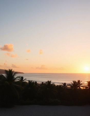 Sunset on the beach with palm trees and sea in the background