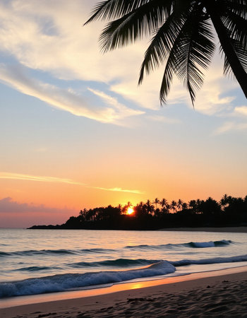 Beautiful sunset on the beach in the tropics. Sri Lankaの写真素材