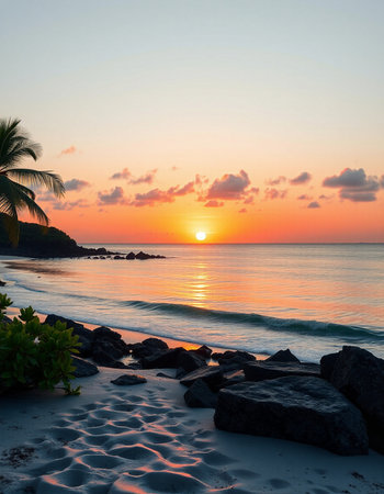 Beautiful sunset on the tropical beach and sea with coconut palm tree - Holiday Vacation conceptの写真素材