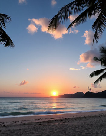 Beautiful sunset on the beach. Seascape with palm trees.の写真素材