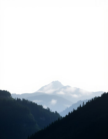 Foggy morning in the mountains. Beautiful landscape with fog.