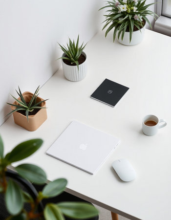 Top view of modern workspace with laptop, coffee cup and houseplantの写真素材