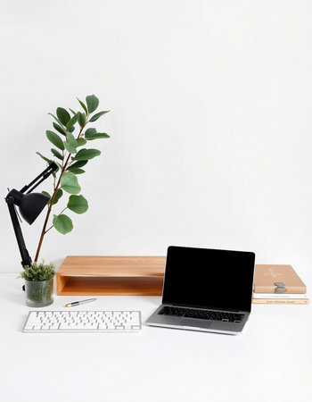 Office workplace with laptop, keyboard, coffee cup and plant on white background