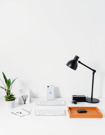 Interior of a modern office with a white wall, a computer keyboard, a mouse and a plantの写真素材