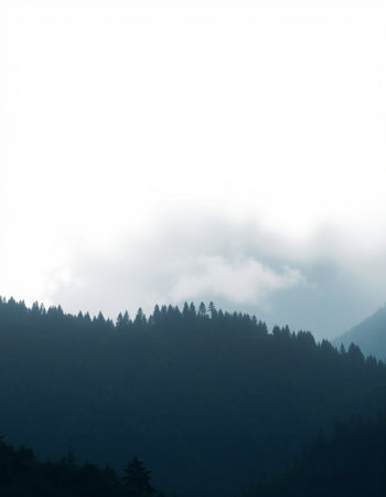 Foggy mountain landscape with pine trees in the foreground and copy space
