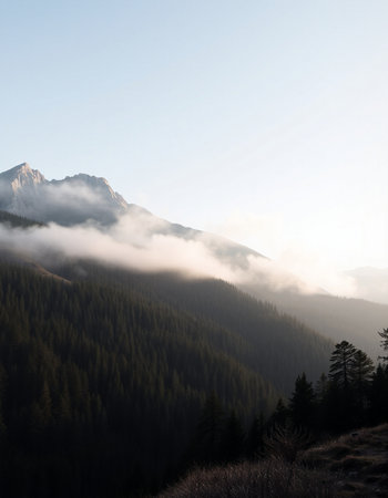 Mountain landscape in the morning mist. Caucasus, Dombayの写真素材
