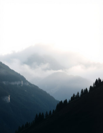 Mountain landscape with coniferous forest in the morning mist.