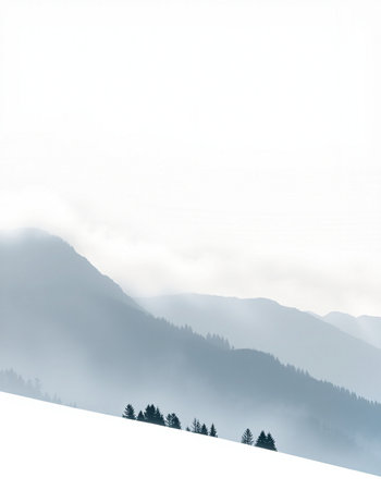 Foggy winter mountains landscape with coniferous trees on slopeの写真素材