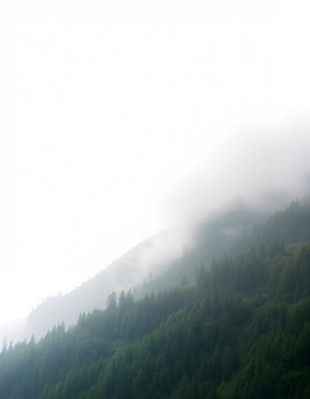 Mountain landscape with fog and clouds in the morning, closeup of photoの写真素材