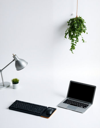 Office desk with laptop, keyboard, mouse and plant on white wall backgroundの写真素材
