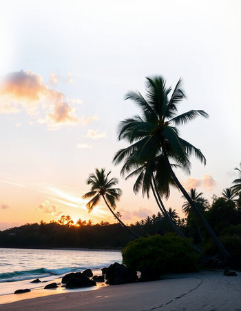 Tropical beach with palm trees at sunset, Seychelles